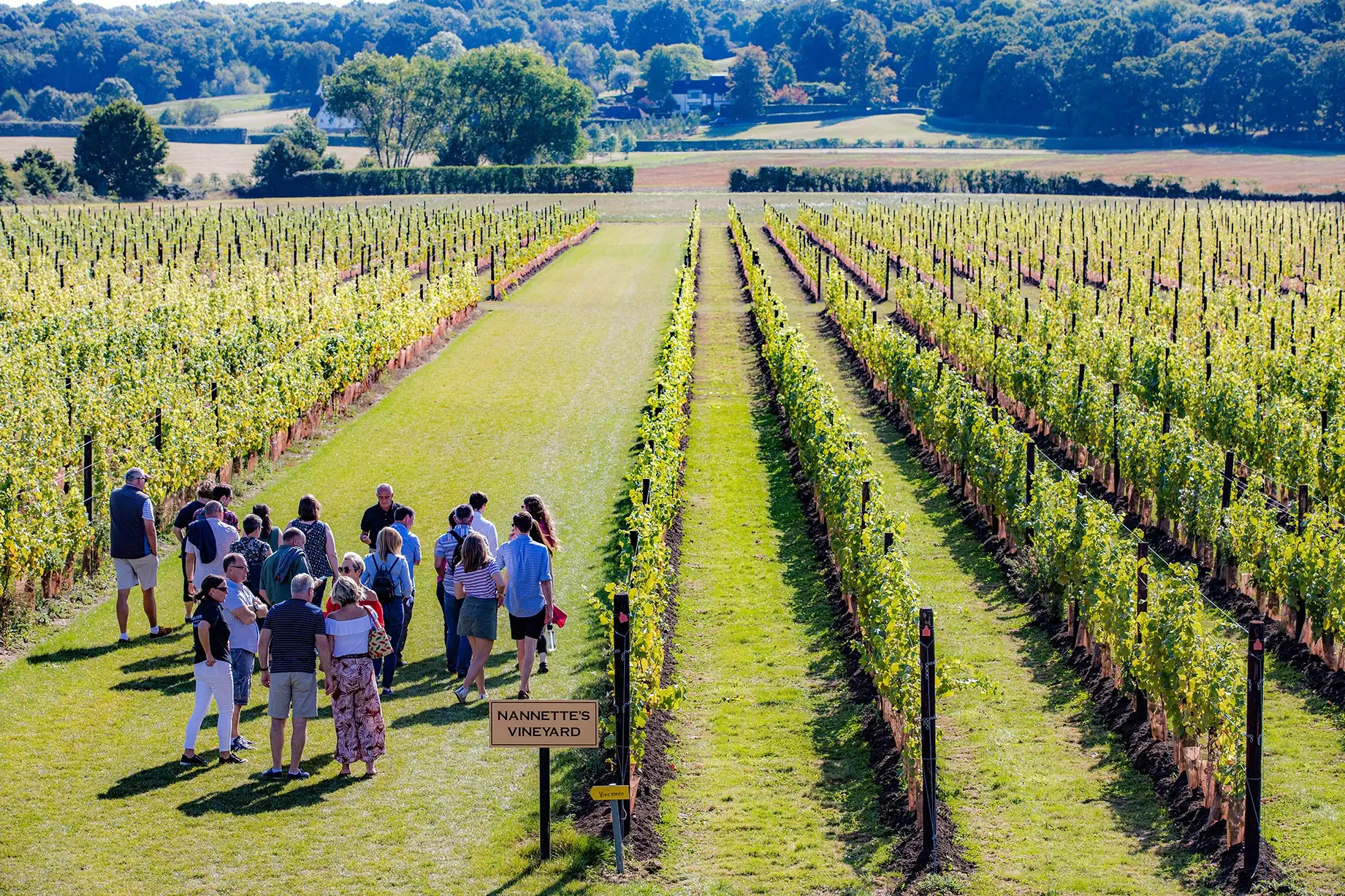 Wine Garden of England banner